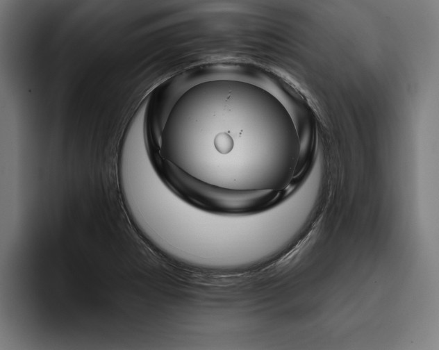X0000093401273200710121052