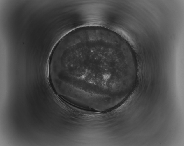 X0000093401276200710121052