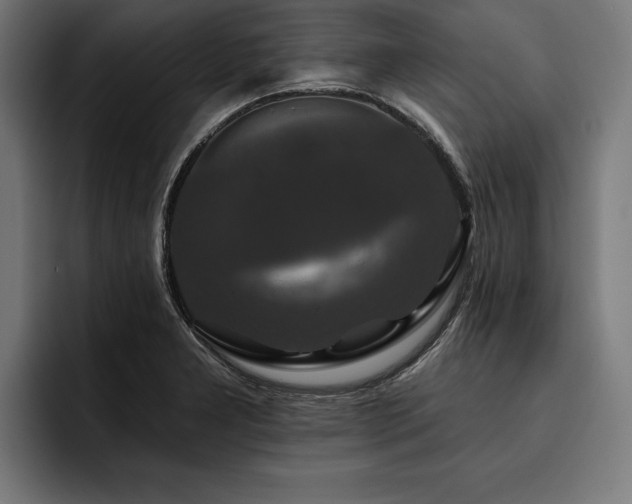 X0000093401277200710121052