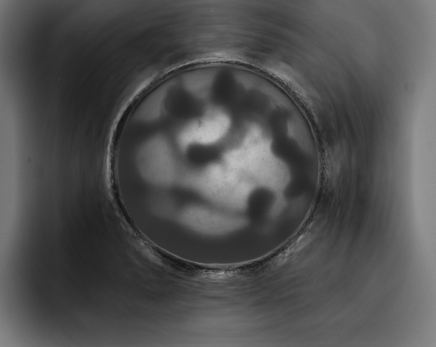 X0000093401278200710121052