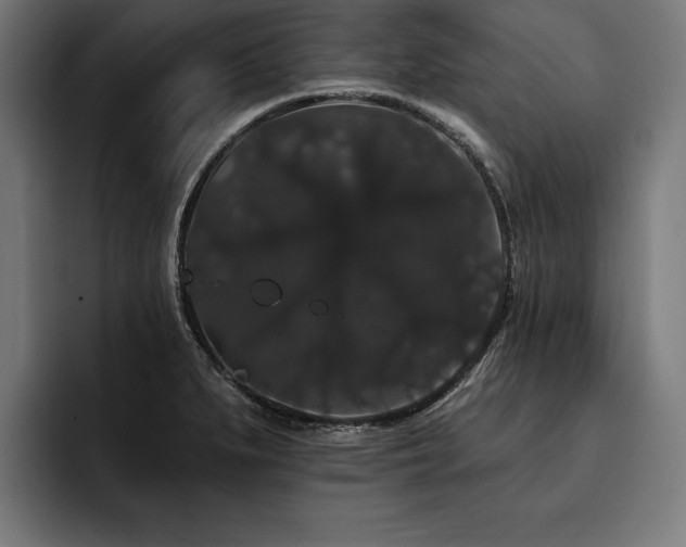 X0000093401279200710121052