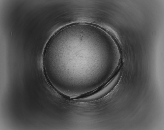 X0000093401280200710121052