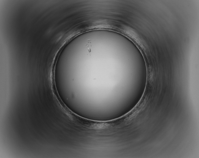 X0000093401282200710121052
