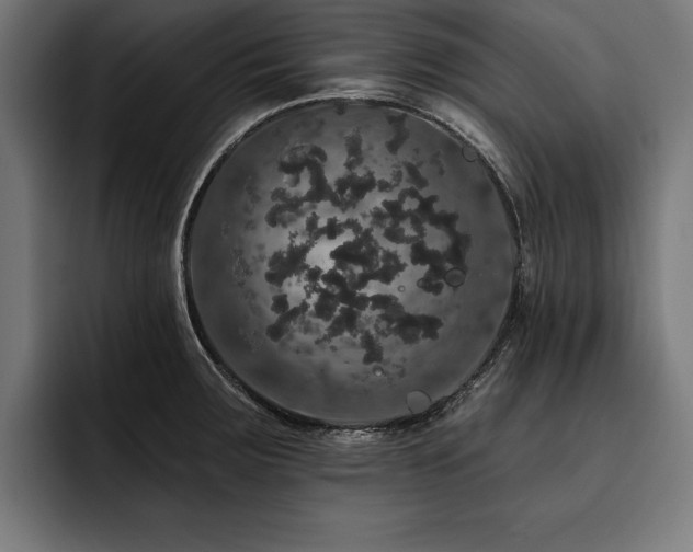 X0000093401283200710121052