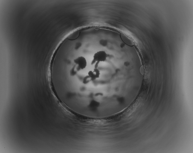 X0000093401287200710121052