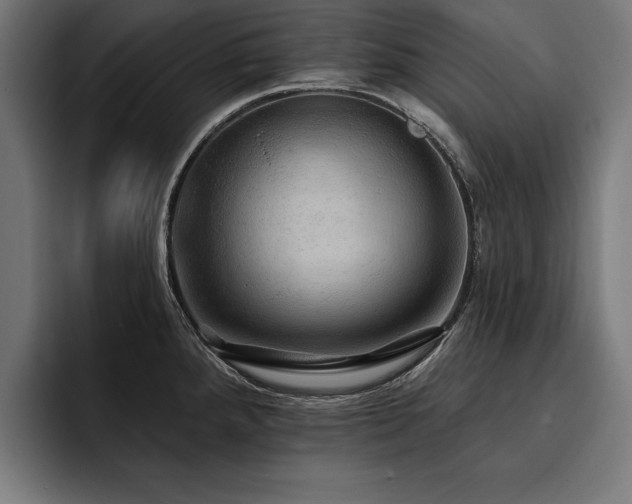 X0000093401288200710121052