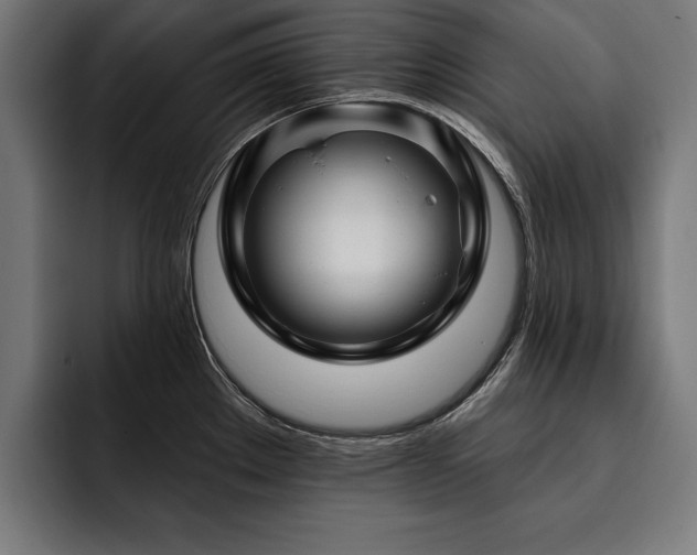 X0000093401289200710121052