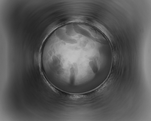 X0000093401290200710121052