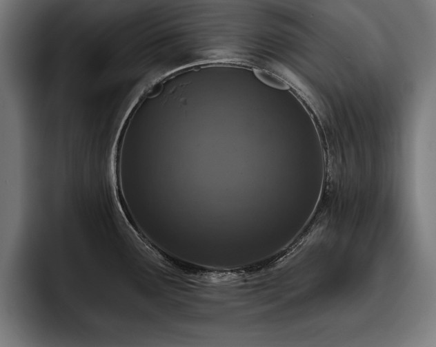X0000093401291200710121052