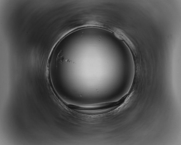 X0000093401292200710121052