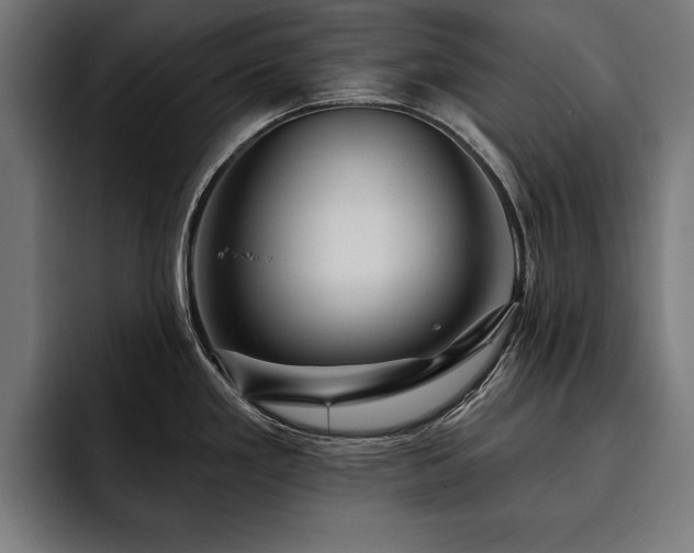 X0000093401293200710121052