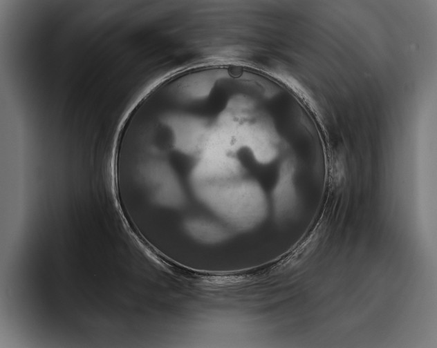 X0000093401294200710121052