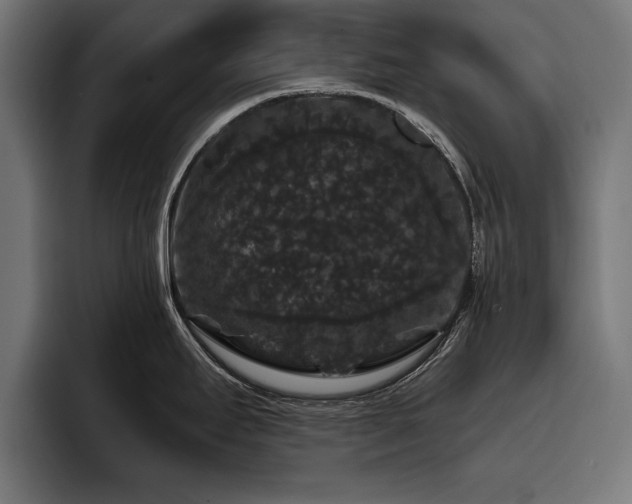 X0000093401295200710121052