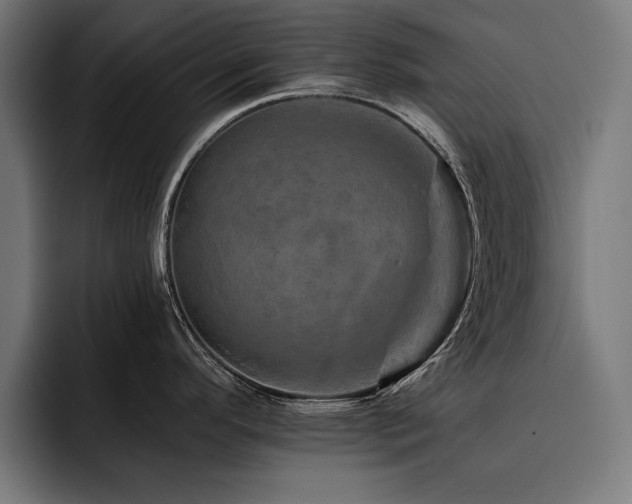 X0000093401296200710121052