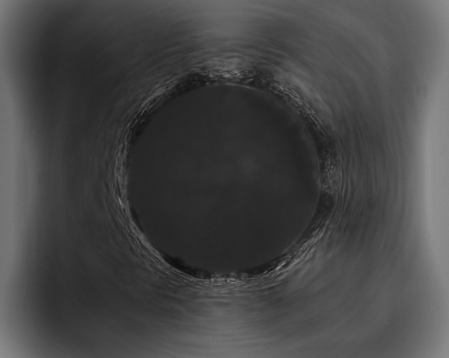 X0000093401297200710121051