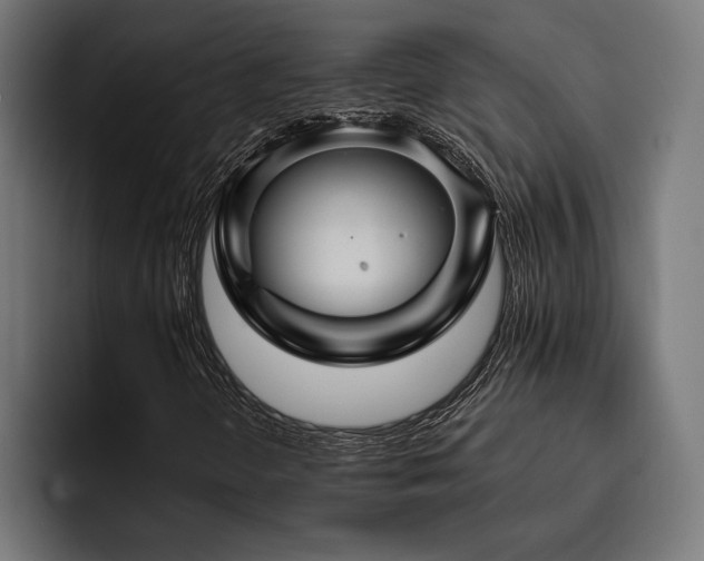 X0000093401298200710121051