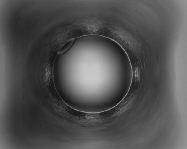 X0000093401299200710121051