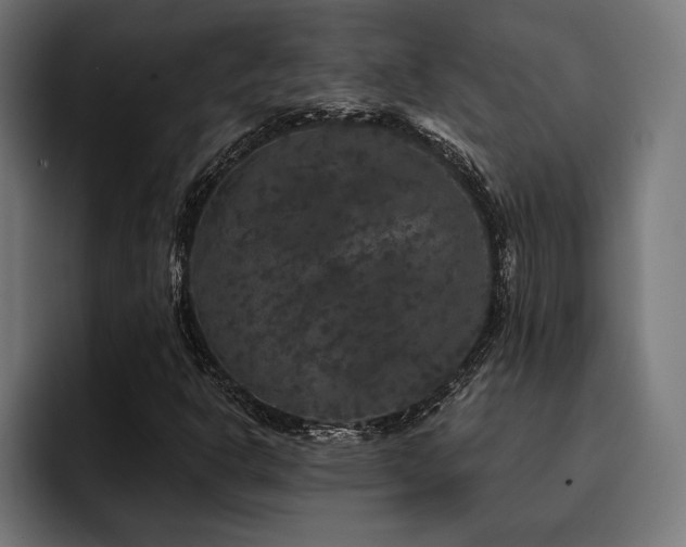 X0000093401302200710121051
