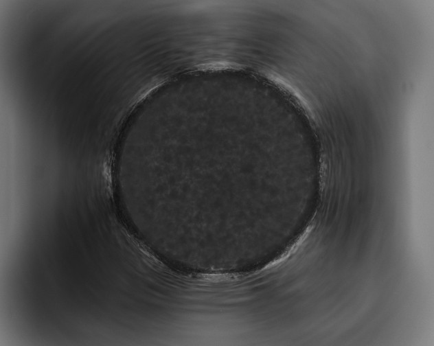 X0000093401305200710121051