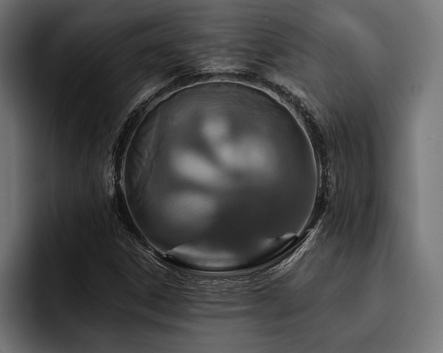 X0000093401306200710121051