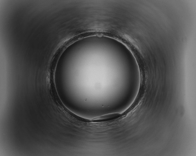 X0000093401307200710121051