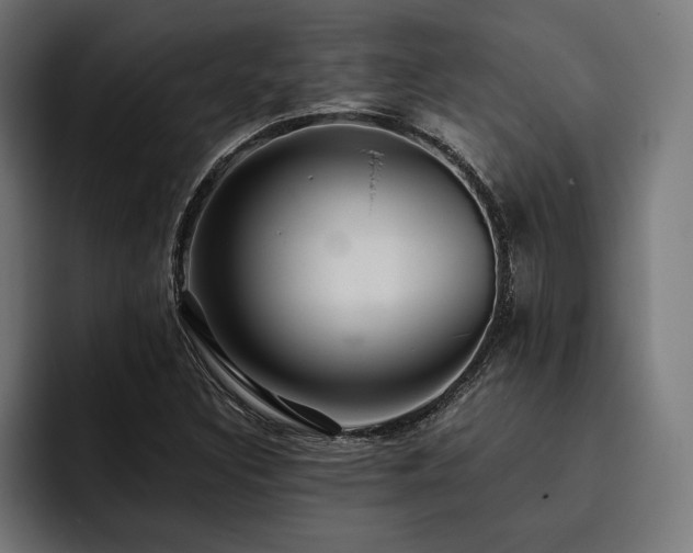 X0000093401308200710121051