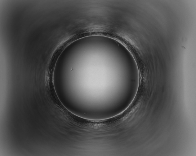 X0000093401309200710121051