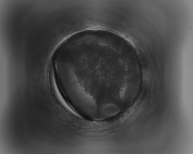X0000093401311200710121051
