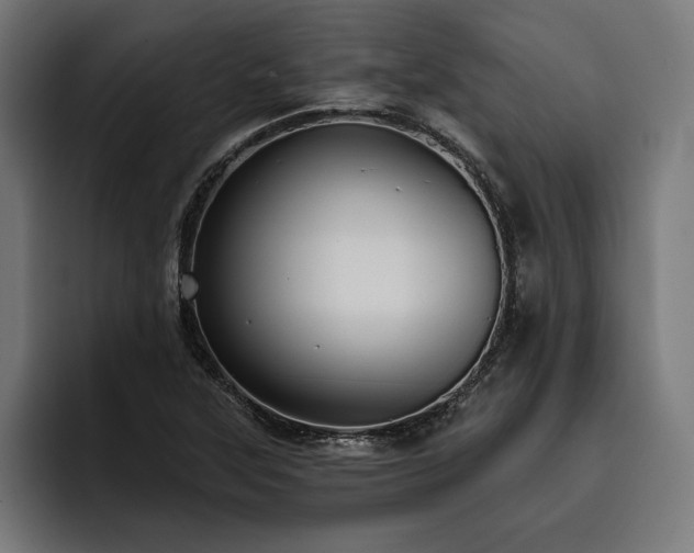 X0000093401315200710121051