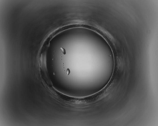X0000093401318200710121051
