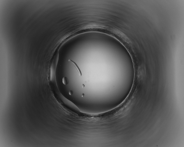 X0000093401321200710121051