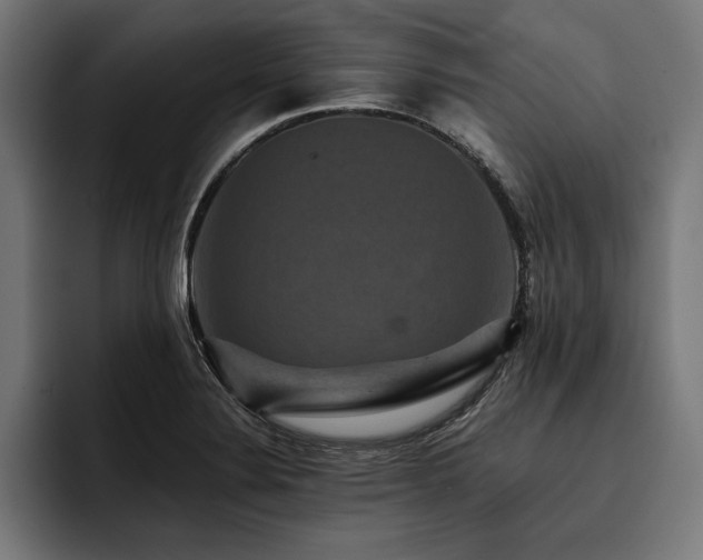 X0000093401324200710121051
