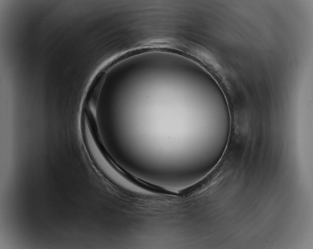 X0000093401328200710121051