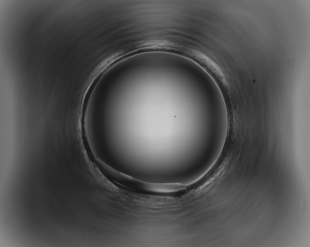 X0000093401330200710121051