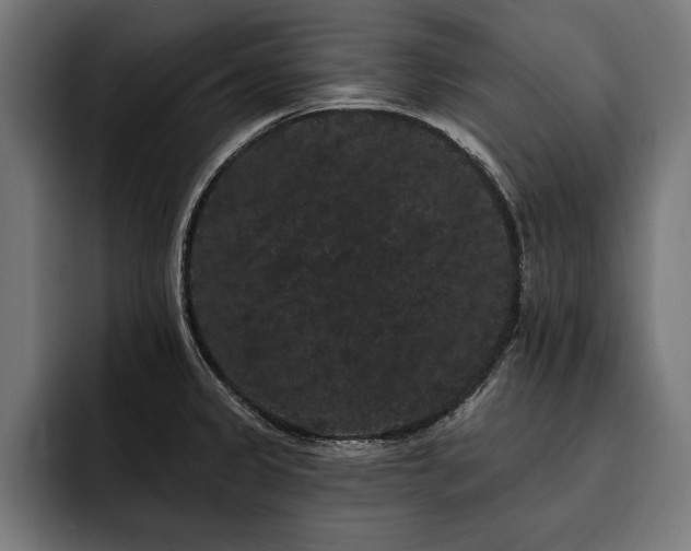 X0000093401333200710121051