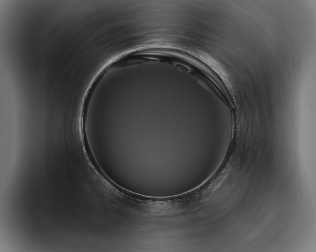 X0000093401334200710121051