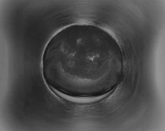 X0000093401335200710121051