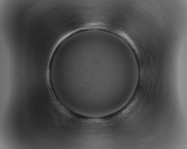X0000093401336200710121051