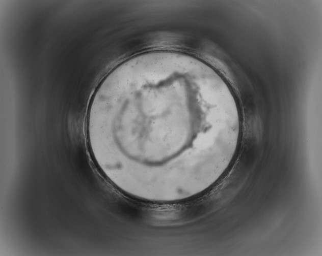 X0000093401338200710121051