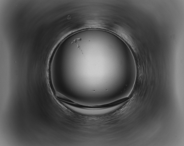 X0000093401339200710121051