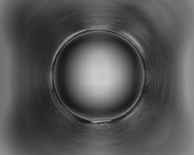 X0000093401340200710121051