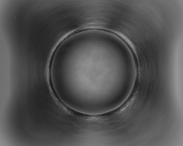X0000093401341200710121051