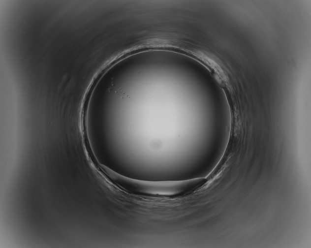 X0000093401342200710121051