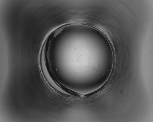 X0000093401344200710121052