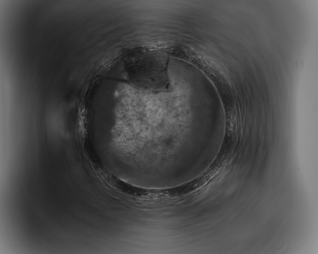 X0000093401346200710121051