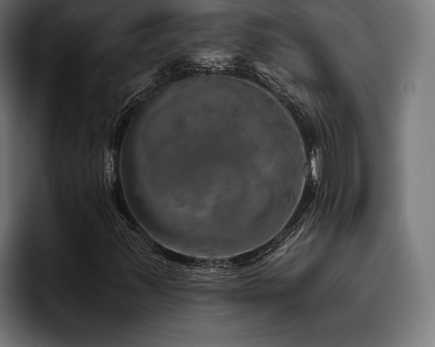 X0000093401347200710121051