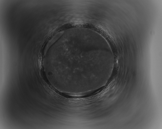X0000093401348200710121051