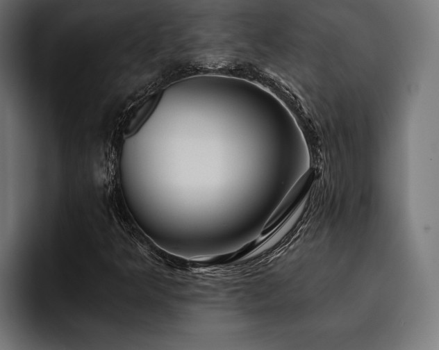 X0000093401349200710121051
