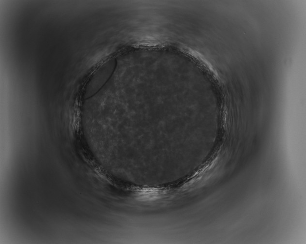 X0000093401350200710121051