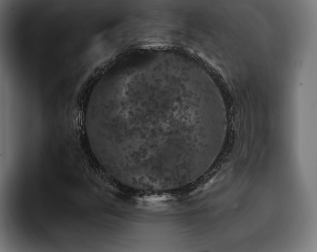 X0000093401351200710121051